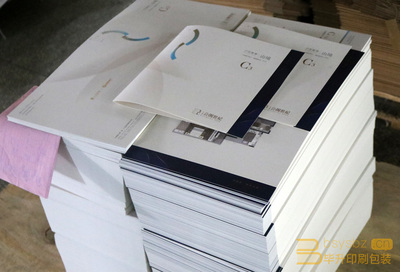 專業(yè)樓書(shū)印刷服務(wù) 仁恒公園世紀(jì)項(xiàng)目二折頁(yè)與樓書(shū)印刷方案解析